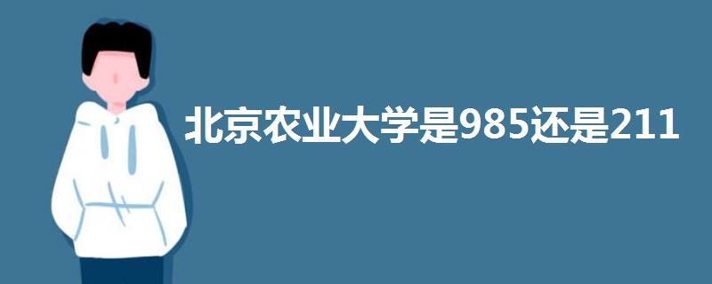 北京农业大学是985还是211