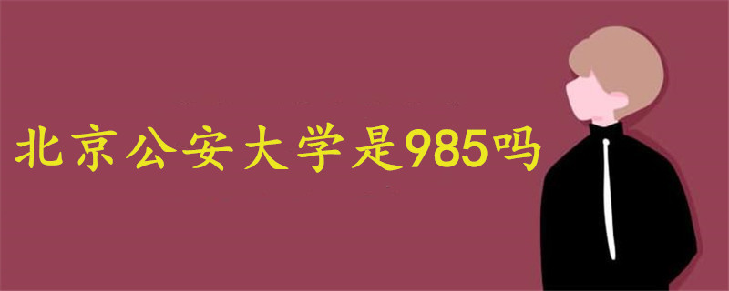 北京公安大学是985吗