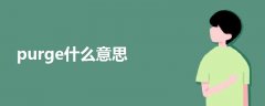 purge什么意思