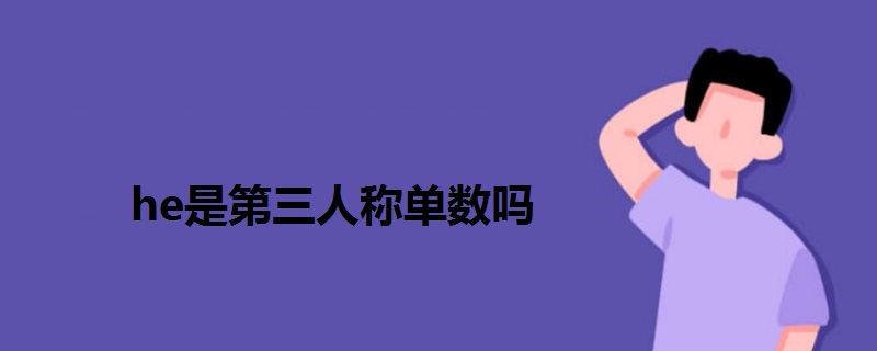 he是第三人称单数吗