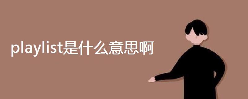 playlist是什么意思啊