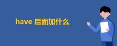 have后面加什么