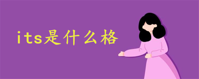 its是什么格