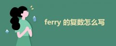 ferry的复数怎么写
