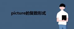 picture的复数形式