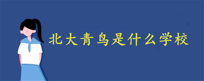 北大青鸟是什么学校