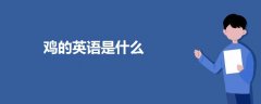 鸡的英语是什么