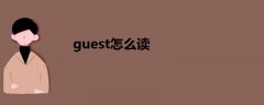 guest怎么读