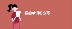 猫的单词怎么写