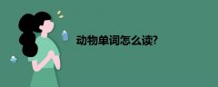 动物单词怎么读?