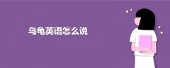 乌龟英语怎么说