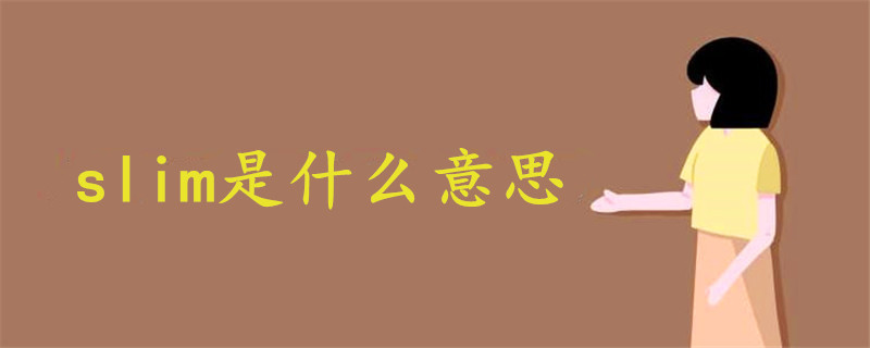 slim是什么意思中文