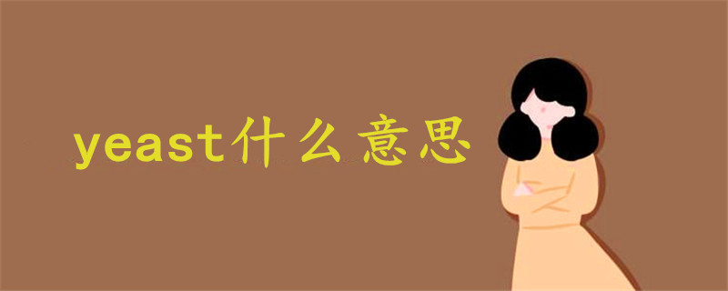 yeast什么意思
