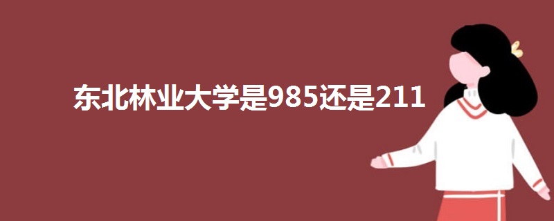 东北林业大学是985还是211