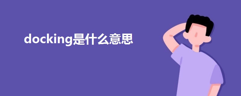 docking是什么意思