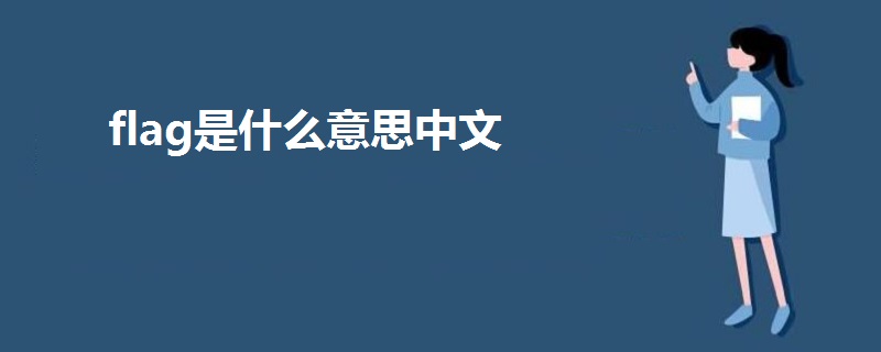 flag是什么意思中文