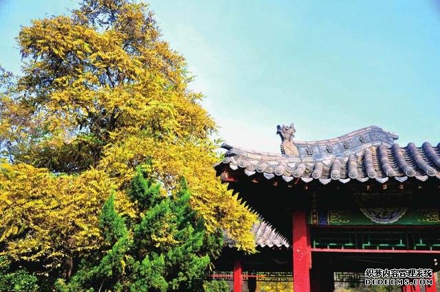 山西二本大学有哪些?山西好二本大学排名及详细介绍