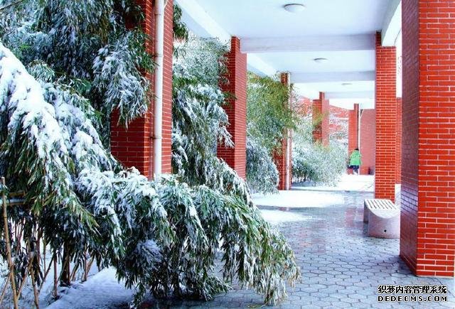 山东最好的高职院校有哪些？山东最好的高职院校详细介绍