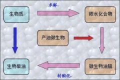 生物技术专业学什么？就业前景如何？生物技术专业大学排名