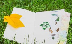 填完志愿多久可以查到录取情况？怎么查询是否被录取？