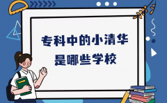 专科中的小清华是哪些学校?被评为小清华的专科学校