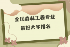 全国森林工程专业最好大学排名(2023最新排名一览表)