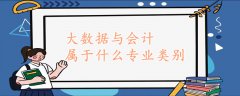 大数据与会计属于什么专
