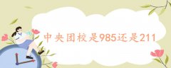 中央团校是985还是211