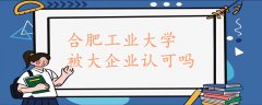 合肥工业大学被大企业认可吗