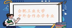 合肥工业大学中外合作办学专业