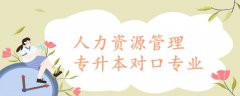 人力资源管理专升本对口专业