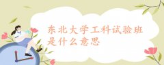东北大学工科试验班是什么意思