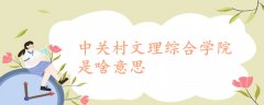 中关村文理综合学院是啥意思