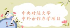 中央财经大学中外合作办学项目