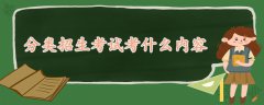 分类招生考试考什么内容
